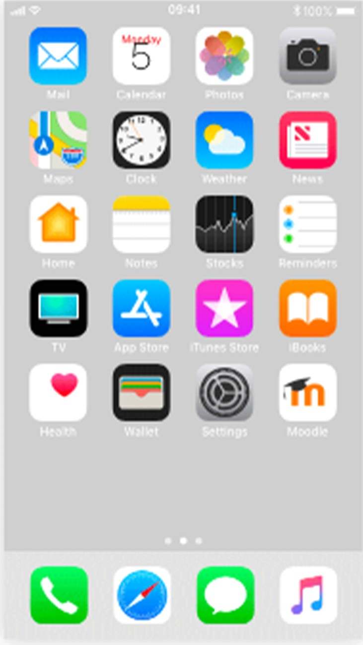 Branded App Store